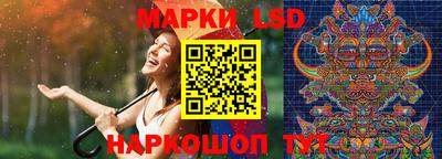 гидра Заводоуковск