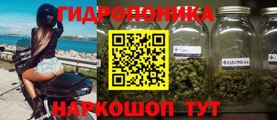 бошки Жуковский