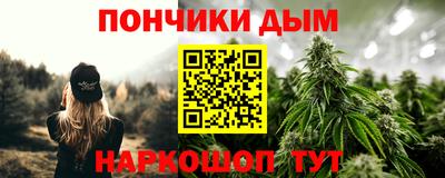 гидра Заводоуковск