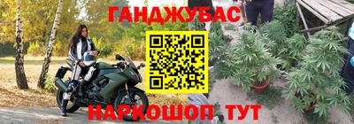 гидра Заводоуковск