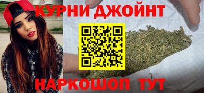 гидра Заводоуковск
