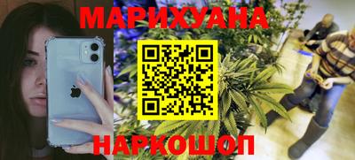 гидра Заводоуковск