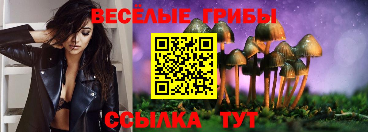 Псилоцибиновые грибы GOLDEN TEACHER Магадан